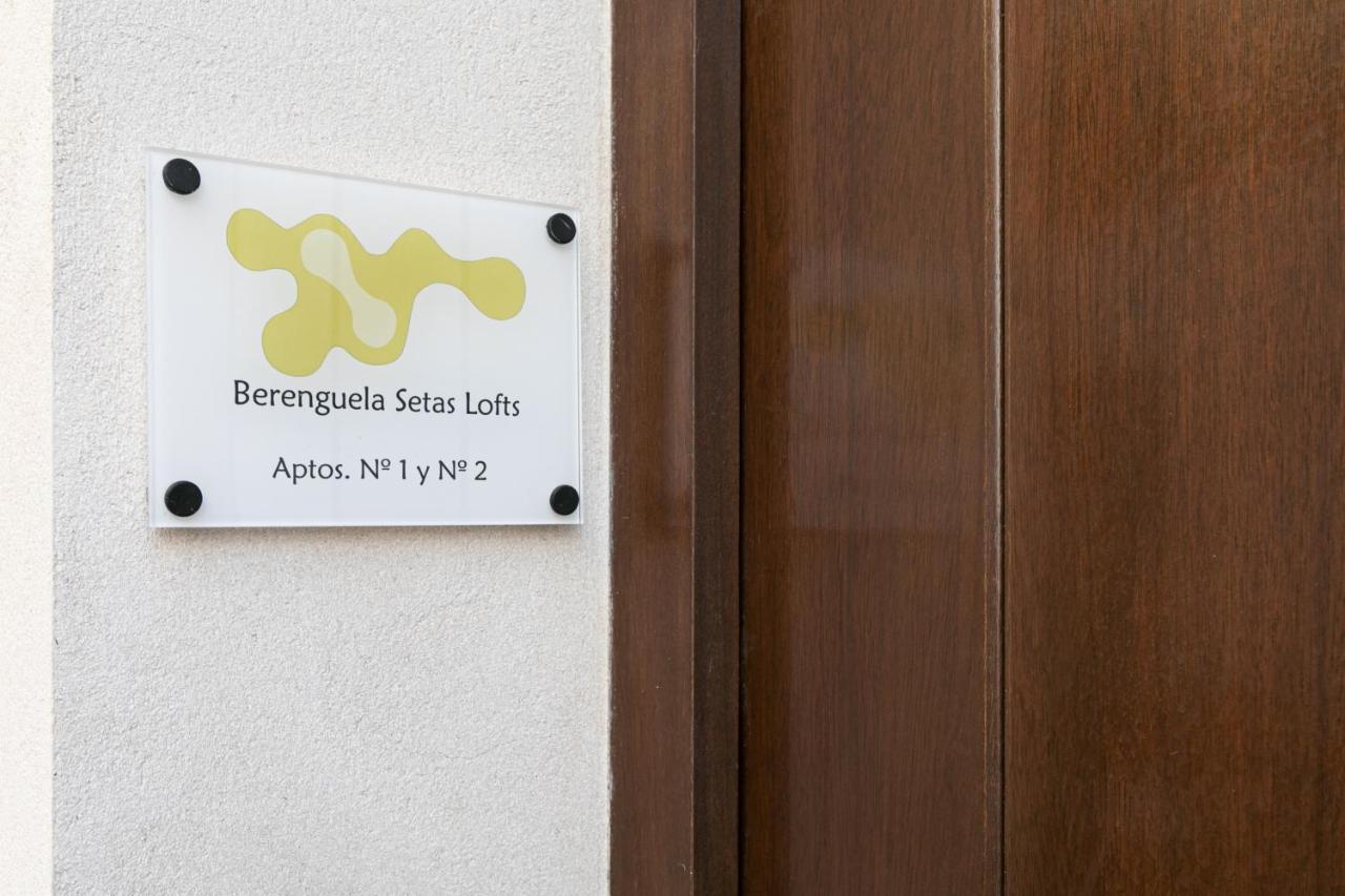 Apartament Berenguela Setas Lofts Sevilla